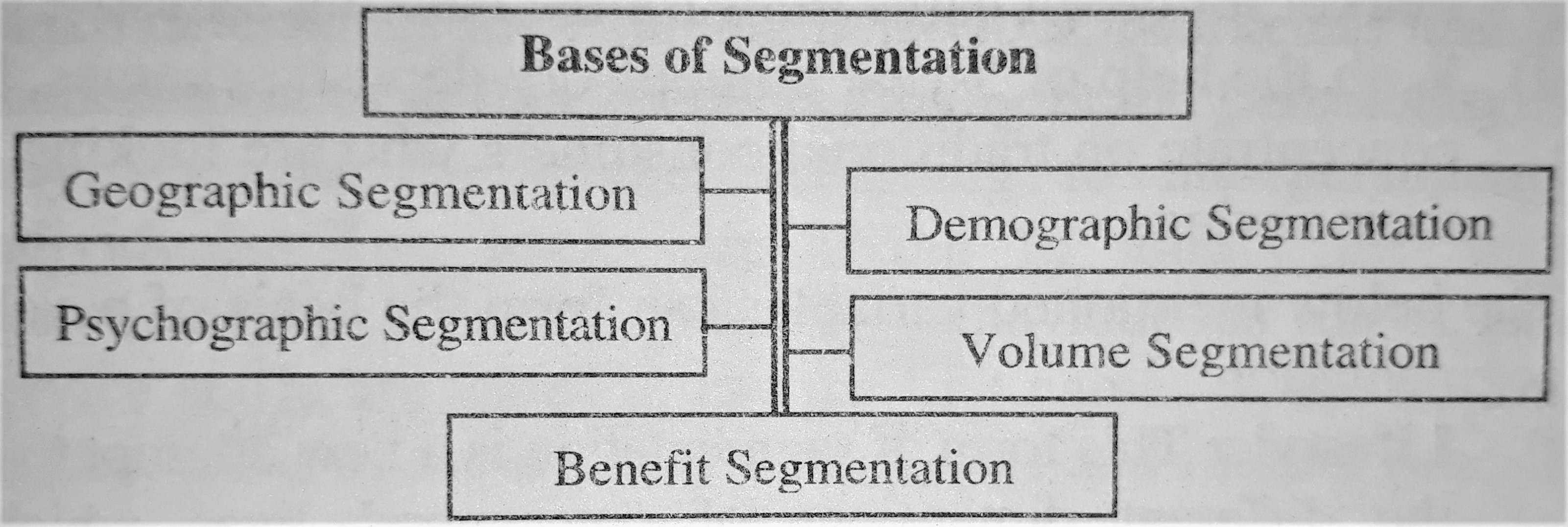 Bases of Segmentation