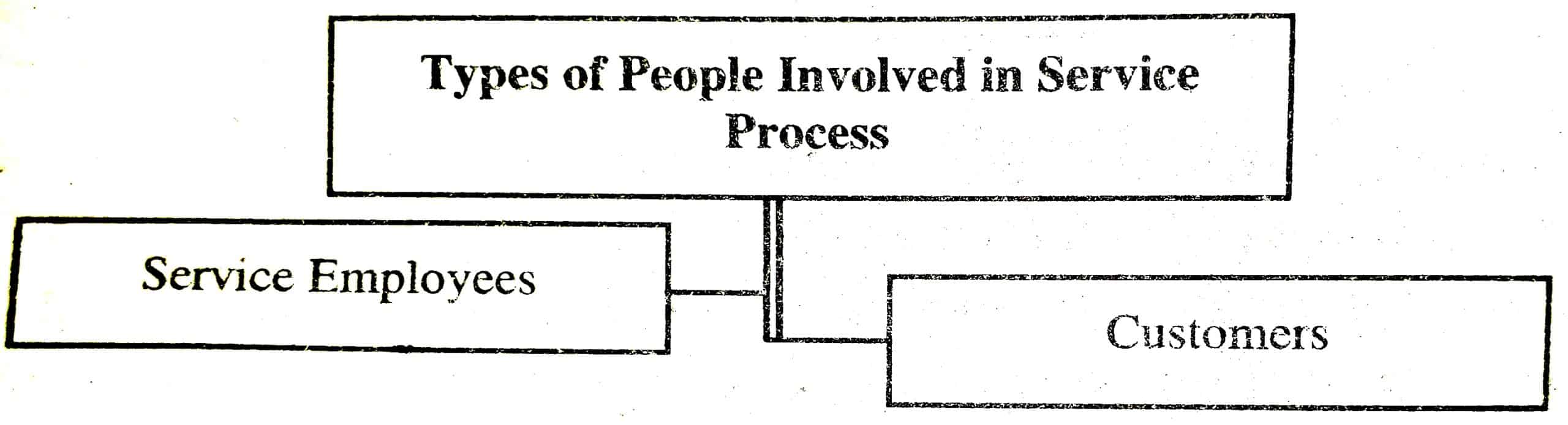 Types of People Involved in Service Process