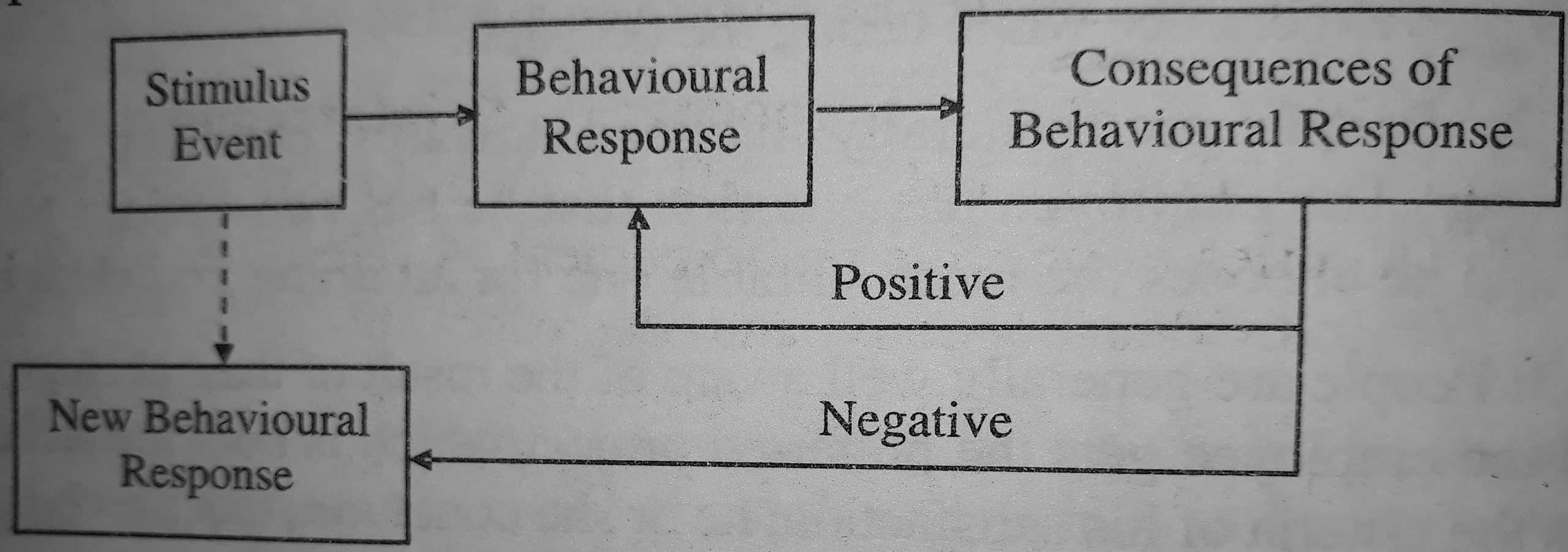 Effect of Behavioural Consequences on Learning
