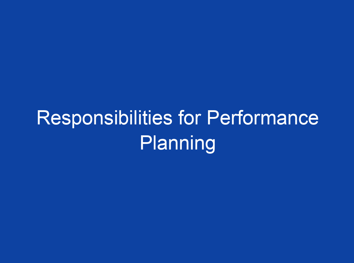 what-are-the-responsibilities-for-performance-planning